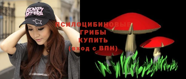 прущая мука Гусь-Хрустальный