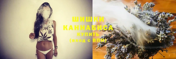 2c-b Гусев