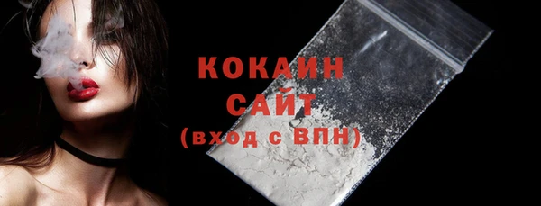 2c-b Гусев