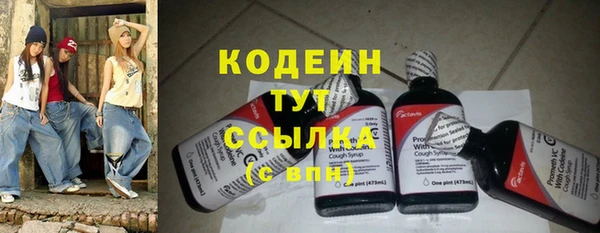 2c-b Гусев
