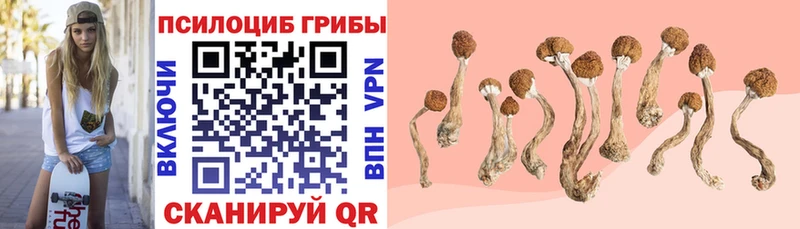 продажа наркотиков  блэк спрут вход  Псилоцибиновые грибы Magic Shrooms  Печора 